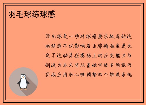 羽毛球练球感
